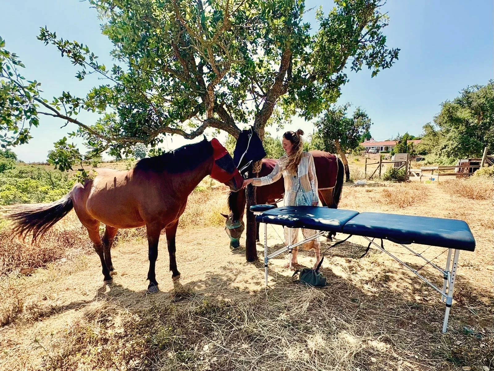 Energy work beside the horses