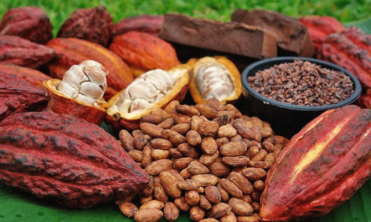 Cacao prepared for ceremony by Shankari