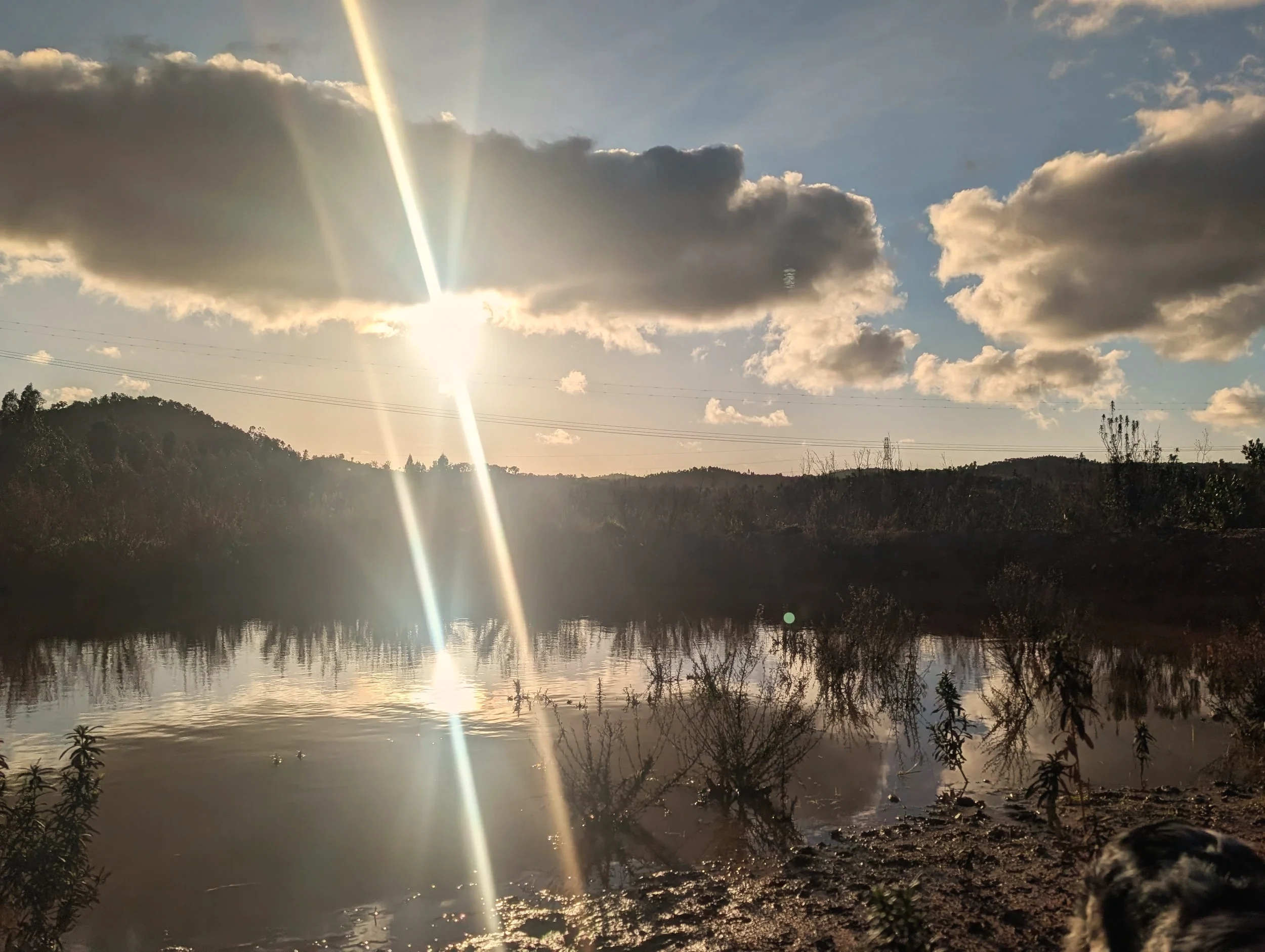 The lake at sunset